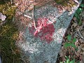 Elwell Trail NH 2010 250